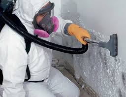 Why You Should Choose Our Mold Remediation Services in Northlake, SC